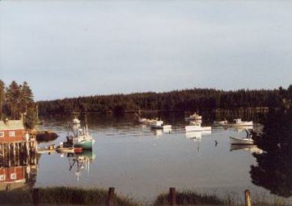 Cutler Harbor on a late summer afternoon